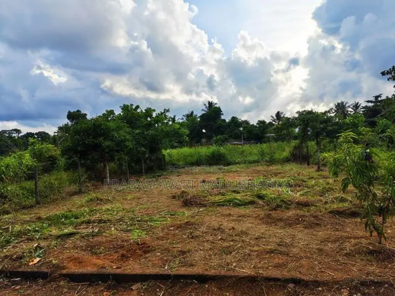 කොළඹ දිස්ත්‍රික්කයෙන් වටිනා ඉඩමක් ඉක්මනින් විකිණීමට Meepe