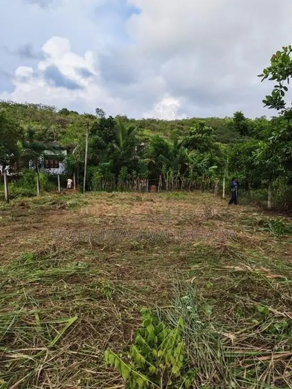 කොළඹ දිස්ත්‍රික්කයෙන් වටිනා ඉඩමක් ඉක්මනින් විකිණීමට Meepe