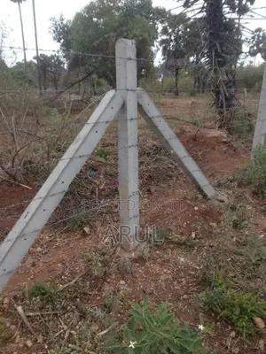 Jaffna Tellipalai Land for Sale