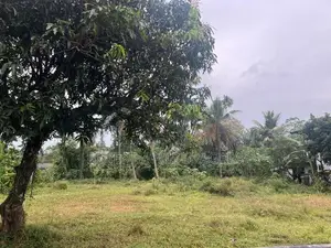 Land for sale in dehiwala [Ls-724]