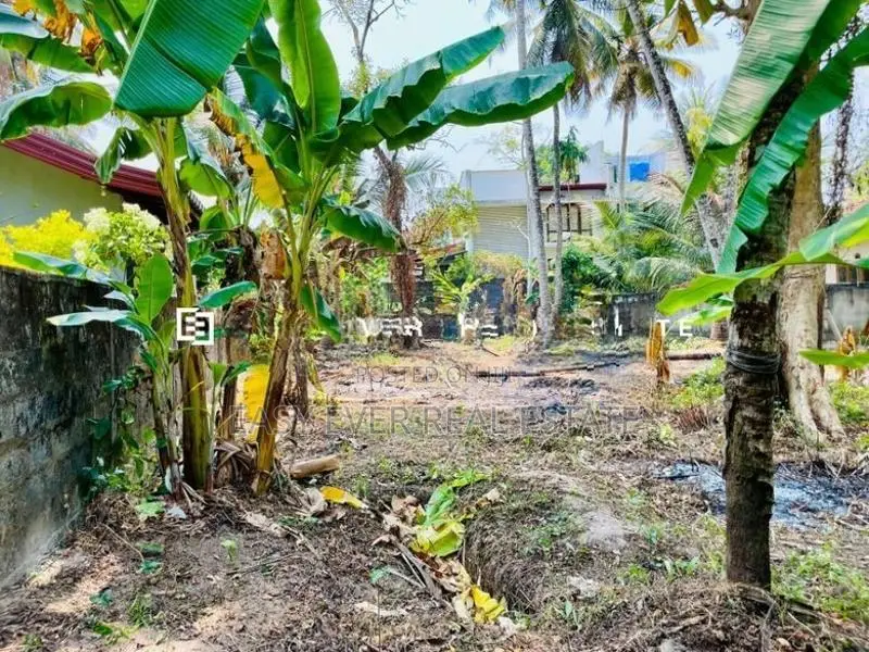 Land for sale in Gampaha