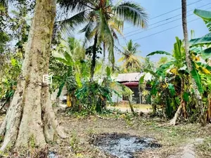 Land for sale in Gampaha