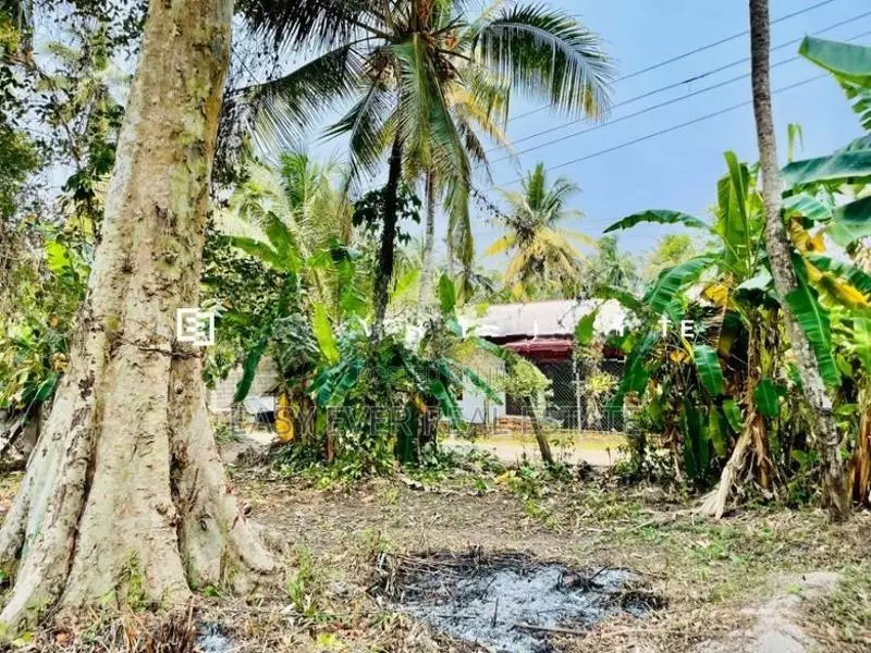 Land for sale in Gampaha