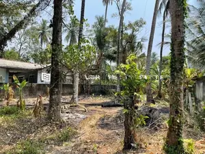 Land for sale in Gampaha