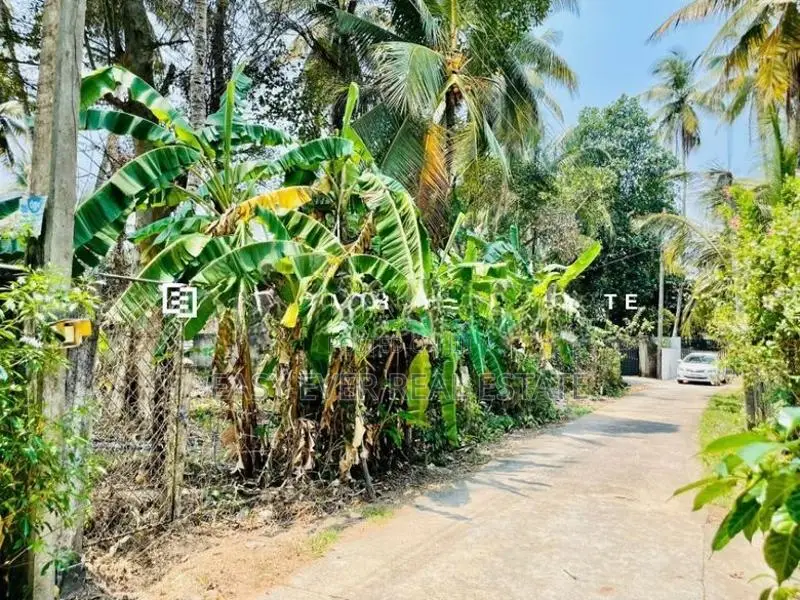 Land for sale in Gampaha