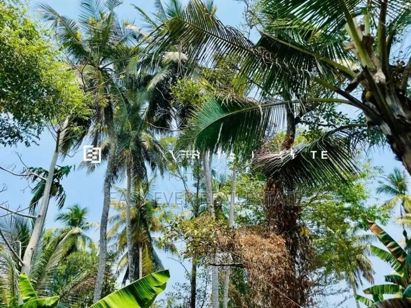 Land for sale in Gampaha