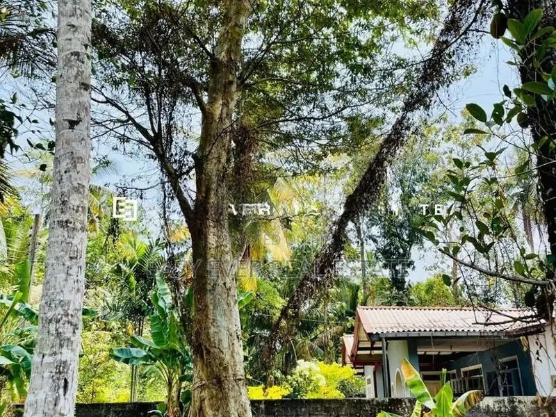 Land for sale in Gampaha