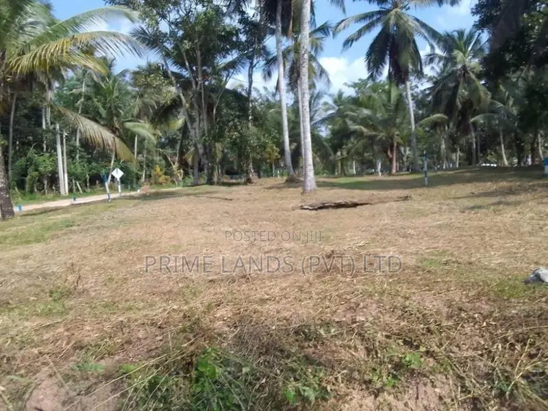දෙවොලපොල ඉඩම විකිණීමට