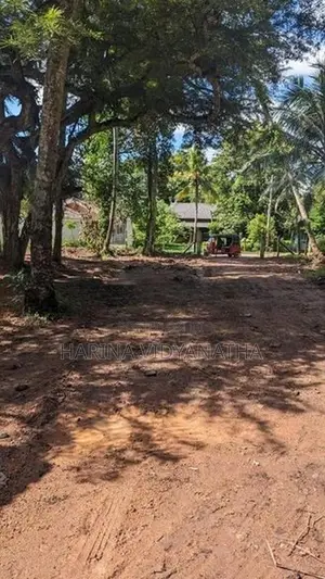Prime Commercial Bare Land for Rent Raddolugama