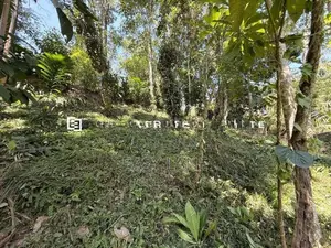 නුවර – වත්තේගමෙන් අගනා ඉඩමක් විකිණීමට!
