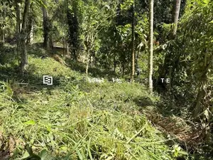 නුවර – වත්තේගමෙන් අගනා ඉඩමක් විකිණීමට!