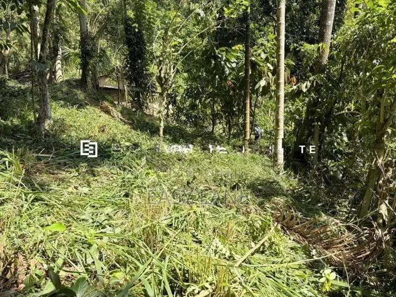 නුවර – වත්තේගමෙන් අගනා ඉඩමක් විකිණීමට!