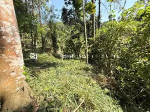 නුවර – වත්තේගමෙන් අගනා ඉඩමක් විකිණීමට!