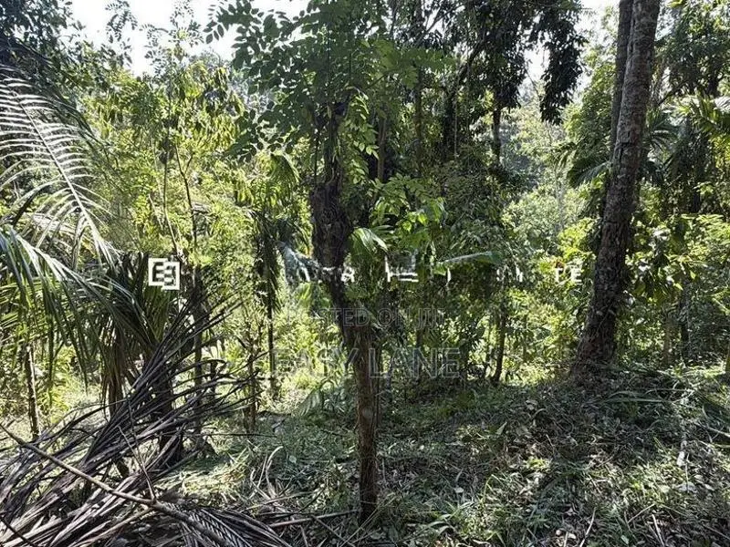 නුවර – වත්තේගමෙන් අගනා ඉඩමක් විකිණීමට!