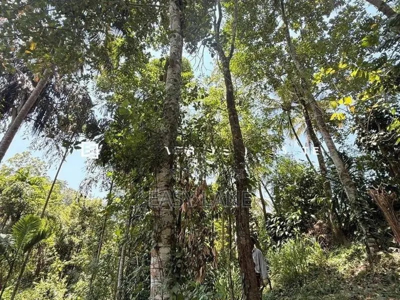 නුවර – වත්තේගමෙන් අගනා ඉඩමක් විකිණීමට!