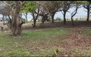 Beach Front Land for Sale in Nilaveli
