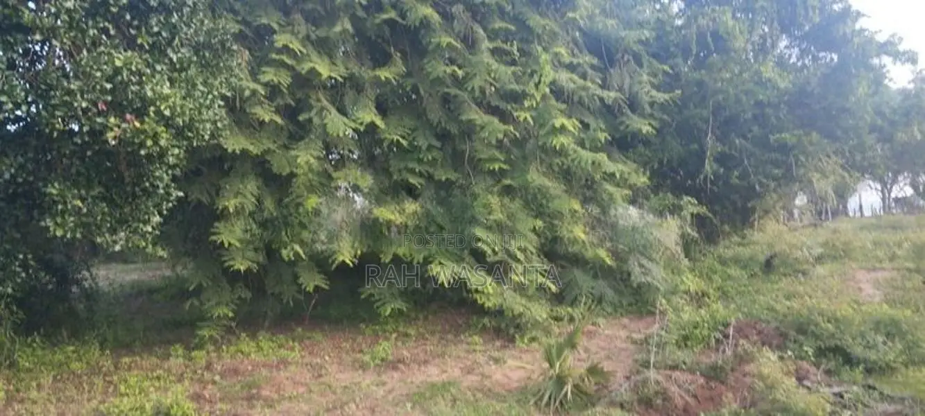 Beach Front Land for Sale in Nilaveli