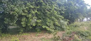 Beach Front Land for Sale in Nilaveli