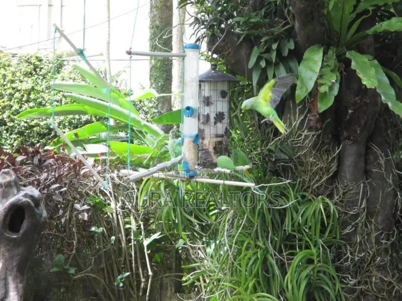 House for rent in Colombo 5 (P-219)