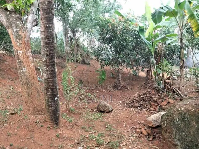Warakamura Land for Sale