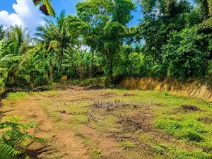 20 Perch Land for Sale – Aswedduma, Kuliyapitiya