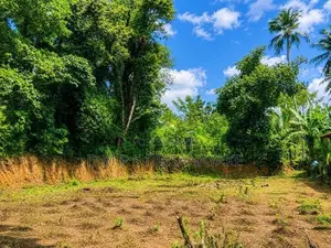 20 Perch Land for Sale – Aswedduma, Kuliyapitiya