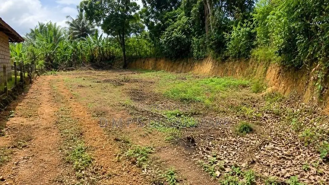 20 Perch Land for Sale – Aswedduma, Kuliyapitiya