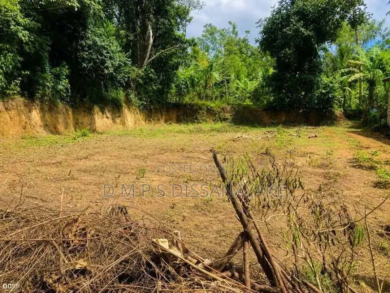 20 Perch Land for Sale – Aswedduma, Kuliyapitiya