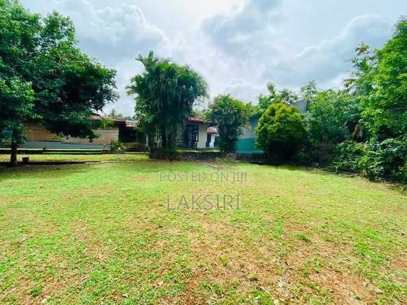 Single Story House Rent Hokandra Arangla Road office and Business