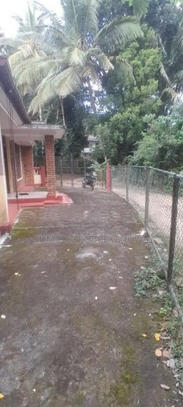 Land with House for Sale - Close to Ambatenna