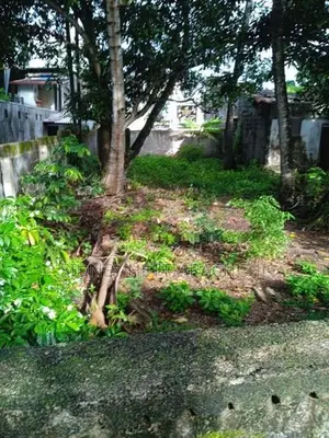 Valuable Land for Sale in Ja-Ela