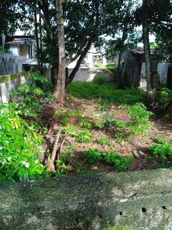 Valuable Land for Sale in Ja-Ela