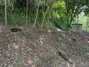 LAND FOR SALE KANDY