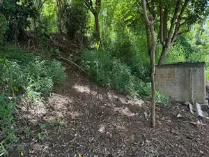 LAND FOR SALE KANDY