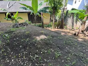 LAND FOR SALE KANDY