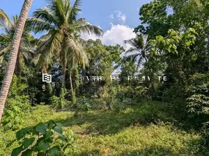 නිට්ටඹුව – ඌරාපොල ප්‍රදේශයෙන් වටිනා ආයෝජනයක්!