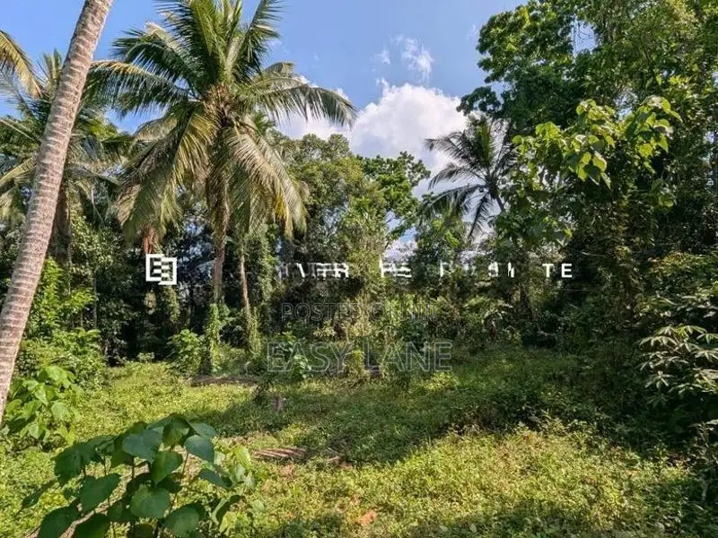 නිට්ටඹුව – ඌරාපොල ප්‍රදේශයෙන් වටිනා ආයෝජනයක්!