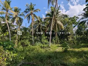 නිට්ටඹුව – ඌරාපොල ප්‍රදේශයෙන් වටිනා ආයෝජනයක්!