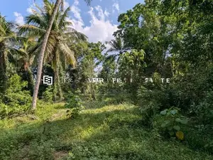 නිට්ටඹුව – ඌරාපොල ප්‍රදේශයෙන් වටිනා ආයෝජනයක්!