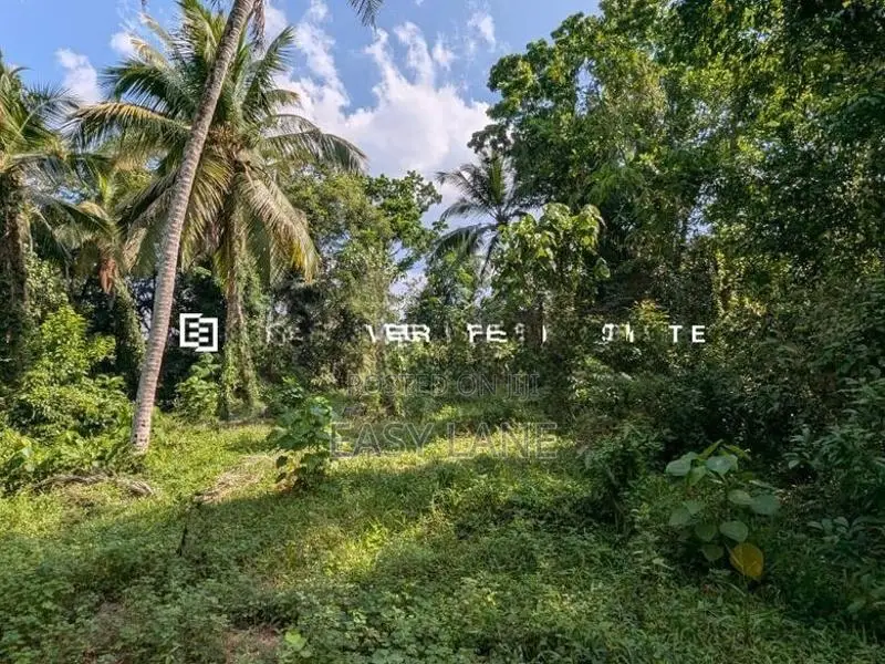 නිට්ටඹුව – ඌරාපොල ප්‍රදේශයෙන් වටිනා ආයෝජනයක්!