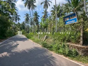 නිට්ටඹුව – ඌරාපොල ප්‍රදේශයෙන් වටිනා ආයෝජනයක්!