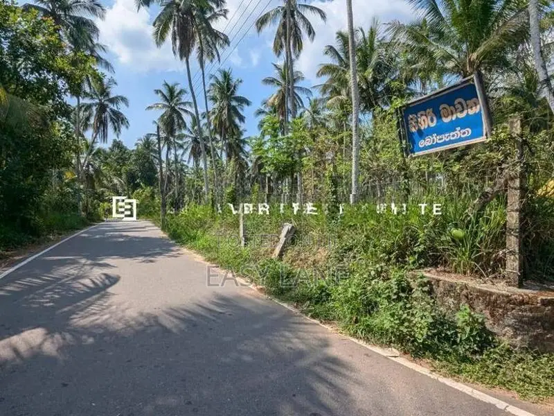 නිට්ටඹුව – ඌරාපොල ප්‍රදේශයෙන් වටිනා ආයෝජනයක්!