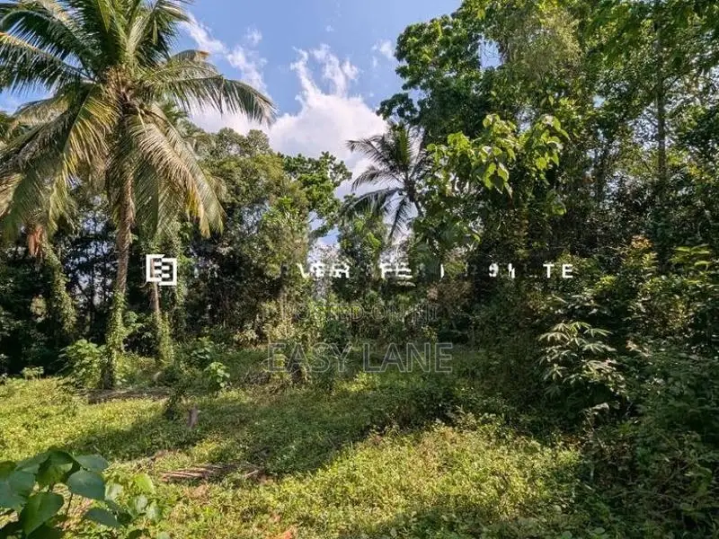 නිට්ටඹුව – ඌරාපොල ප්‍රදේශයෙන් වටිනා ආයෝජනයක්!