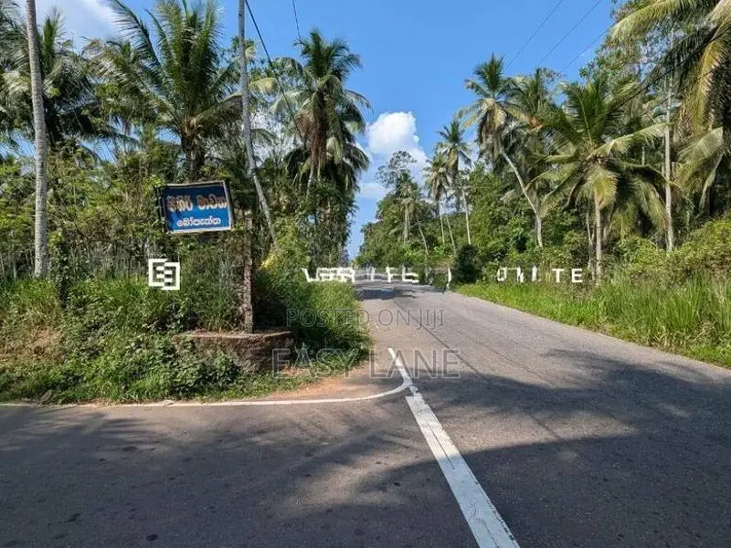 නිට්ටඹුව – ඌරාපොල ප්‍රදේශයෙන් වටිනා ආයෝජනයක්!