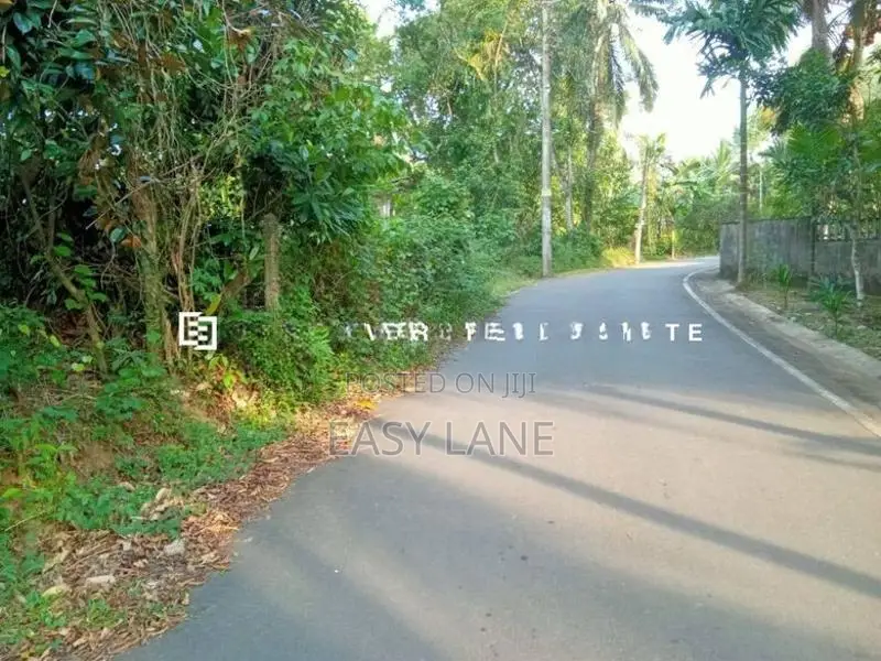 නිට්ටඹුව – ඌරාපොල ප්‍රදේශයෙන් වටිනා ආයෝජනයක්!
