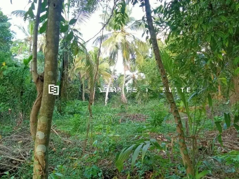 නිට්ටඹුව – ඌරාපොල ප්‍රදේශයෙන් වටිනා ආයෝජනයක්!