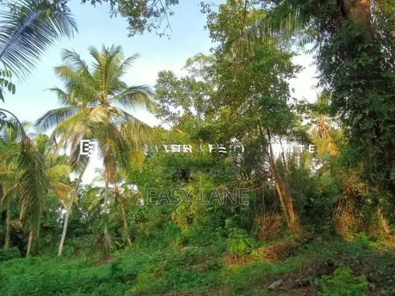 නිට්ටඹුව – ඌරාපොල ප්‍රදේශයෙන් වටිනා ආයෝජනයක්!