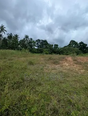 කිරිදිවැල පිංගමුවෙන් වටිනා නේවාසික බිම් කොටසක්!