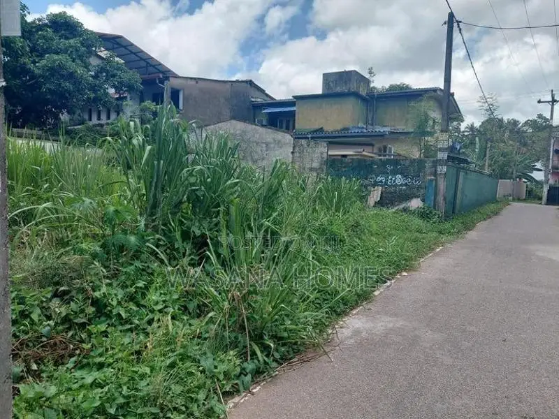 Excellent Land for Sale Borelesgamuwa