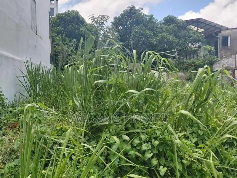 Excellent Land for Sale Borelesgamuwa